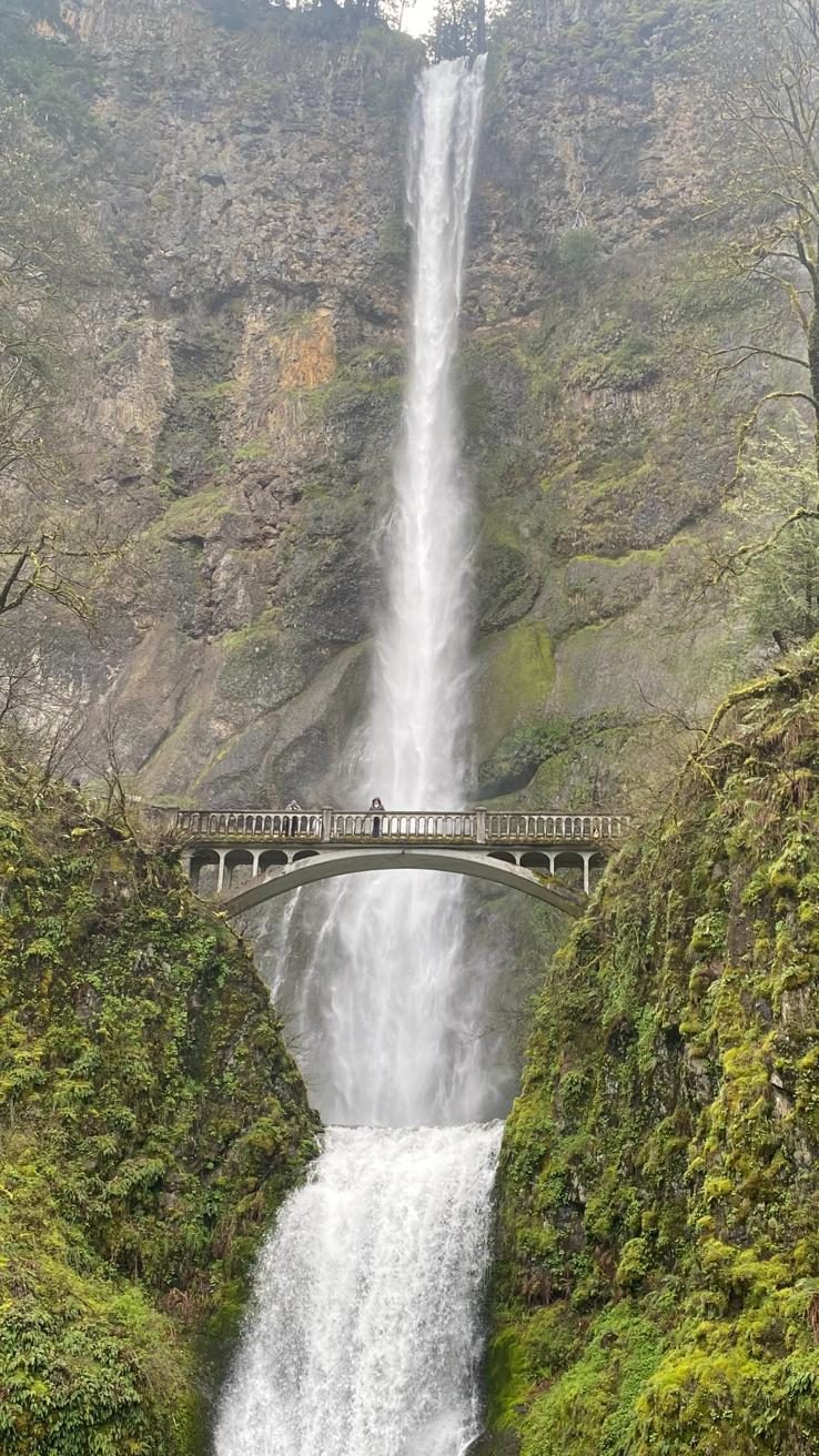 A waterfall representing the possibilities of getting into the flow of life. Jacqui Chaplin Bodysex Australia 