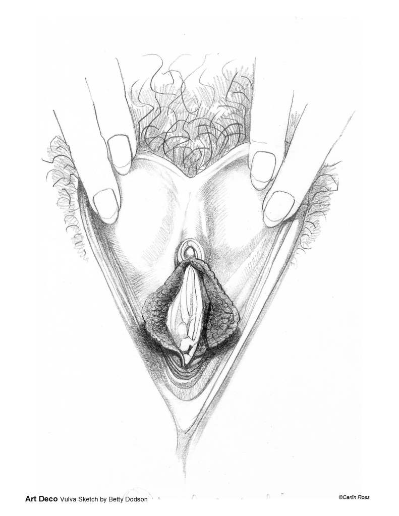 Line drawing of Betty Dodson's Art Deco Vulva
