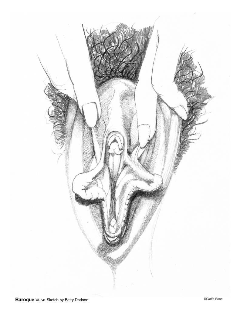Line drawing of Betty Dodson's Baroque Vulva