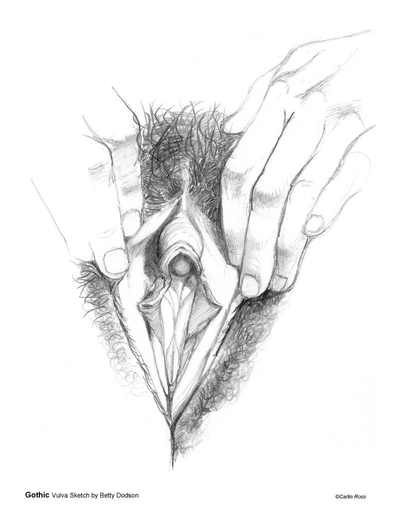 Line drawing of Betty Dodson's Gothic Vulva