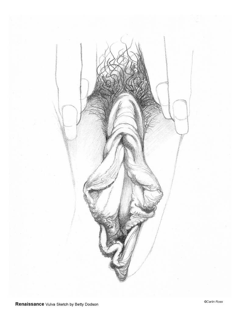 Line drawing of Betty Dodson's Renaissance Vulva